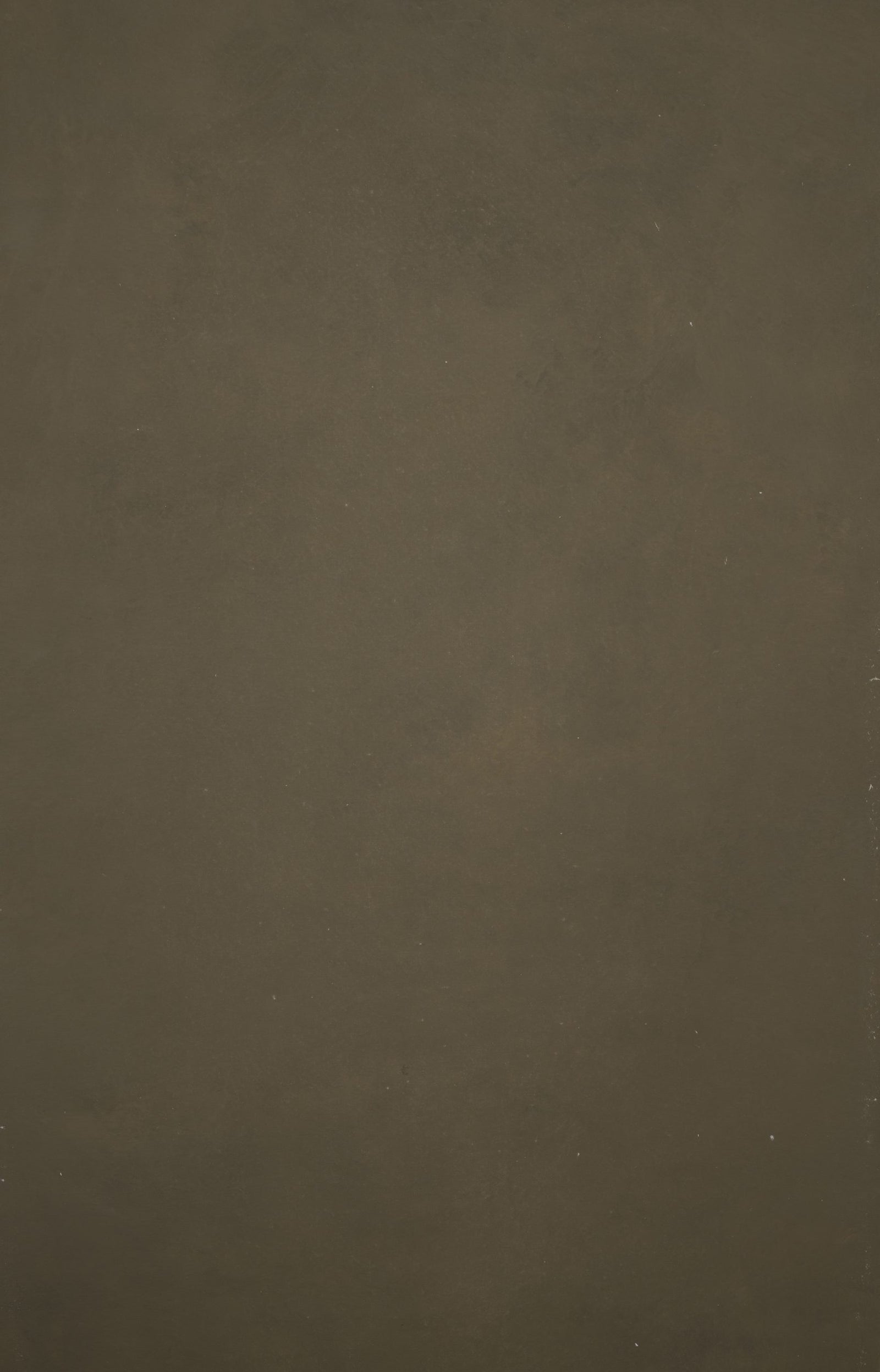 12391 Olive Green Distressed Text XS
