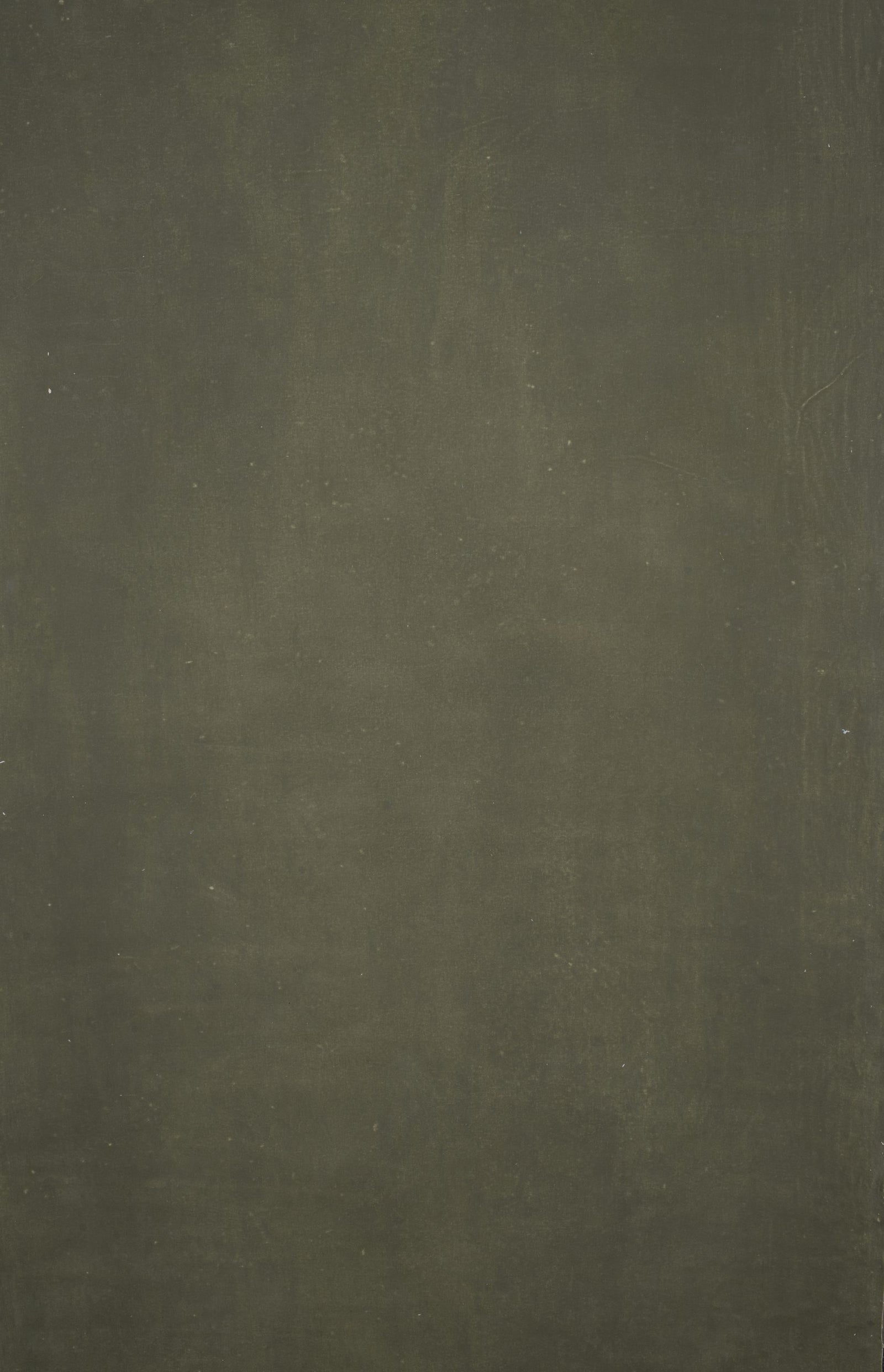 12392 Olive Green Distressed Text XS