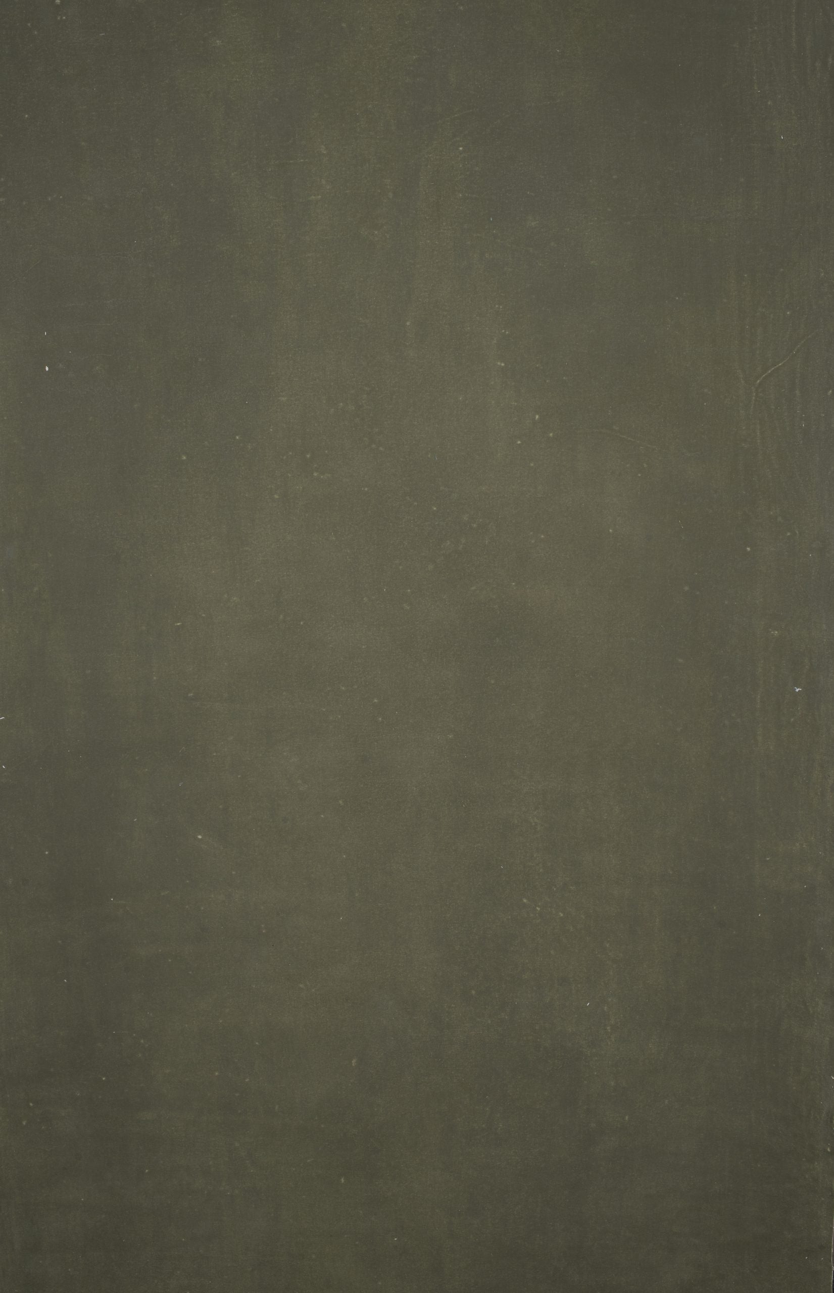 12392 Olive Green Distressed Text XS