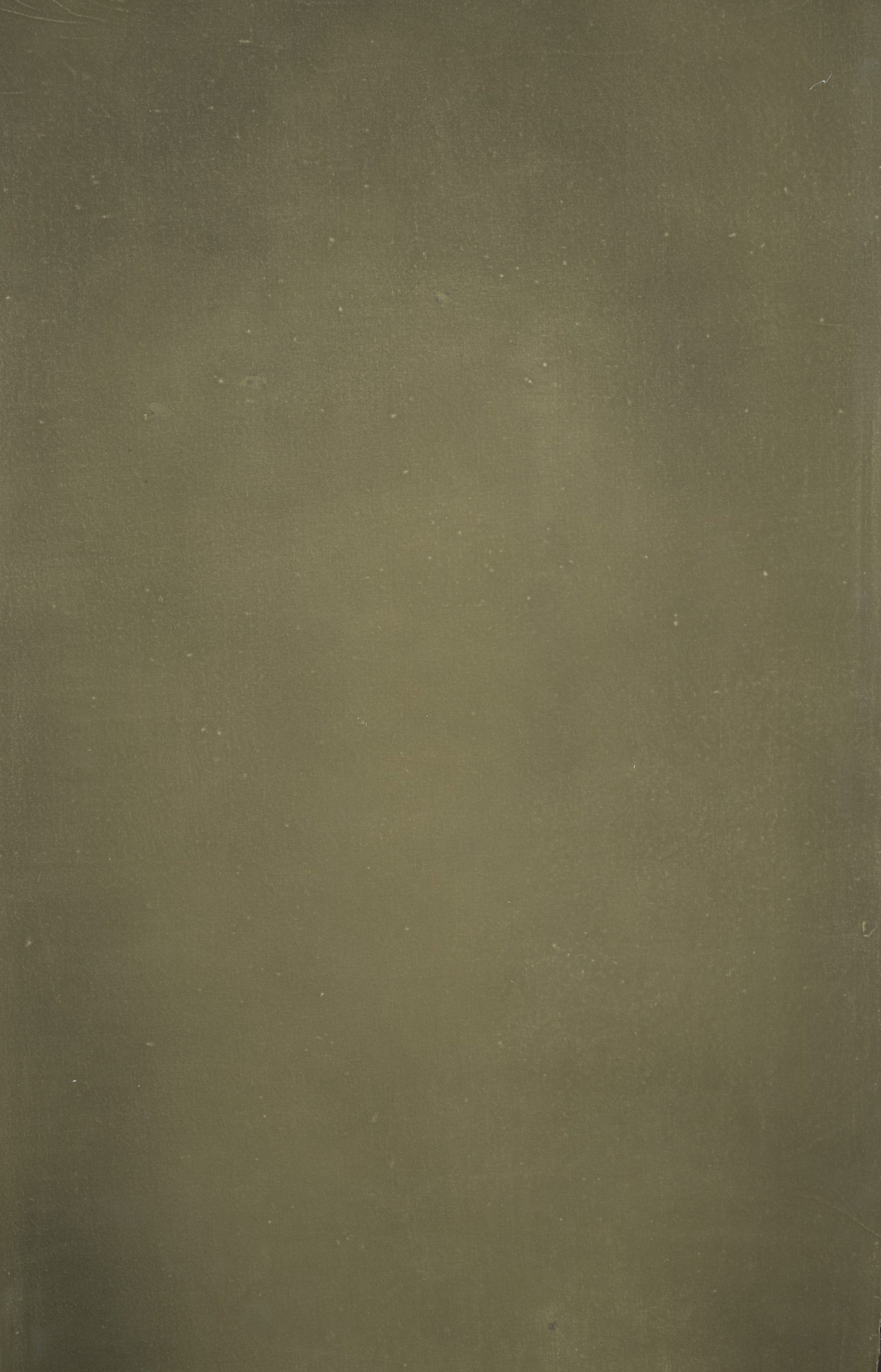 12395 Olive Green Distressed Text XS