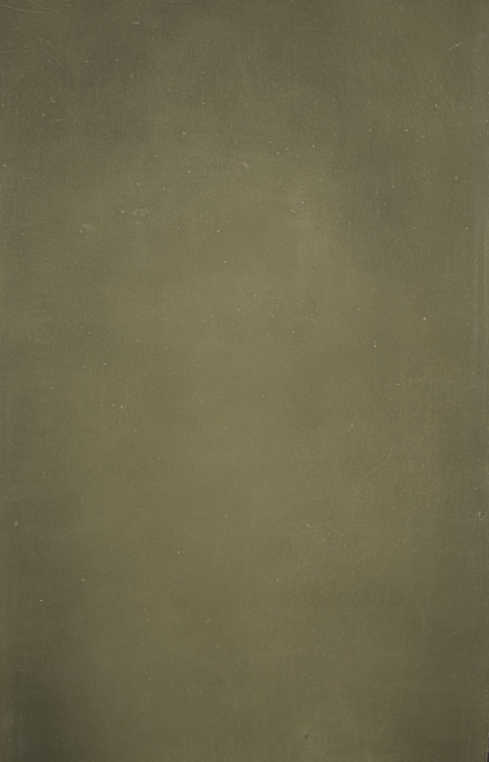 12395 Olive Green Distressed Text XS