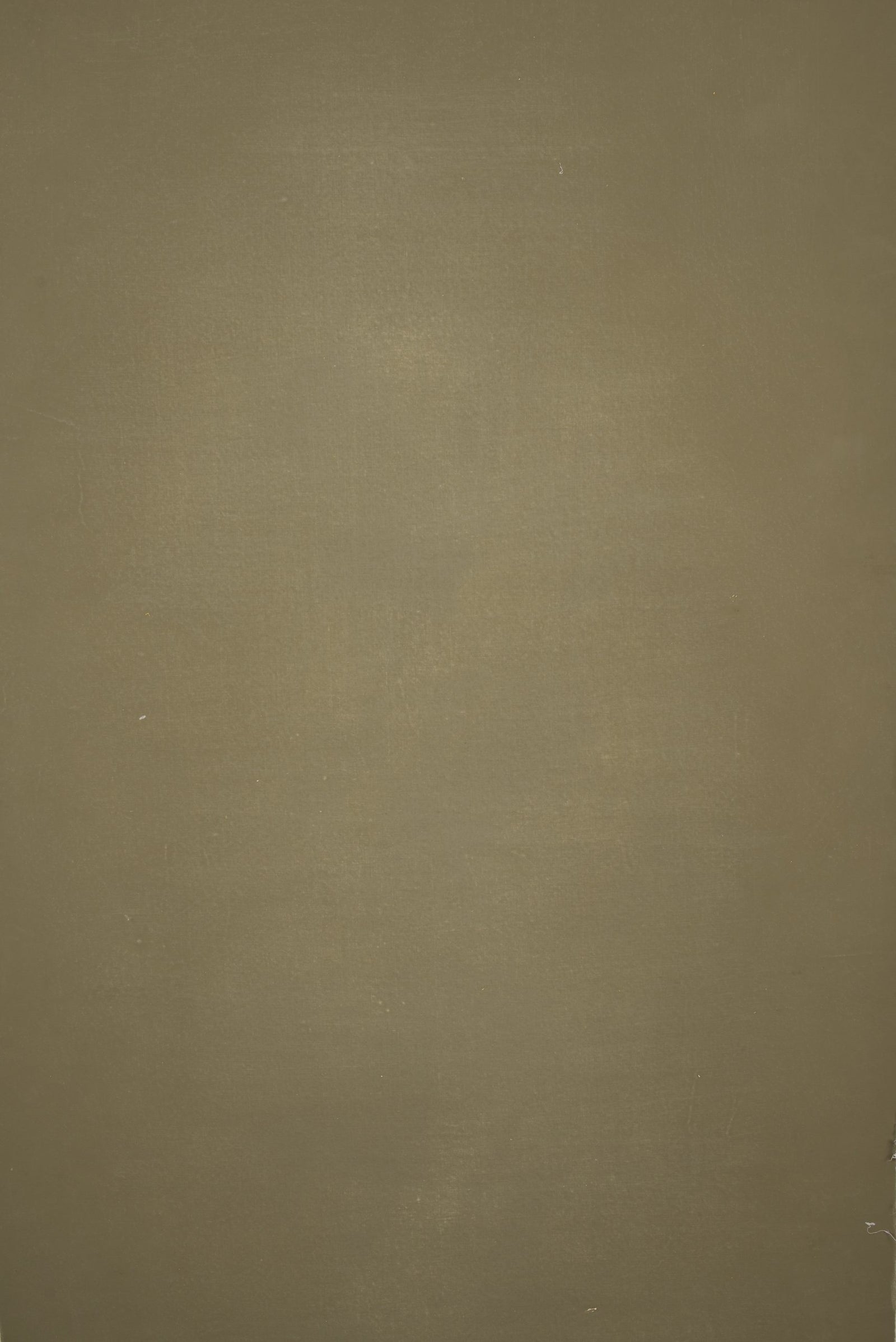Olive Green Backdrop Distressed Text XS 12399