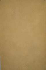 12405 Ochre Distressed Text XS