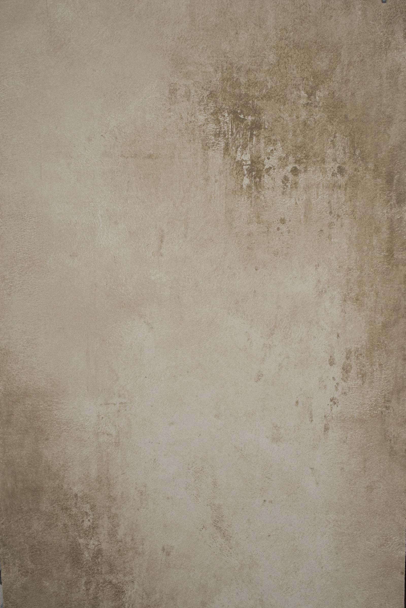 12407 Beige Grey Strong Text XS