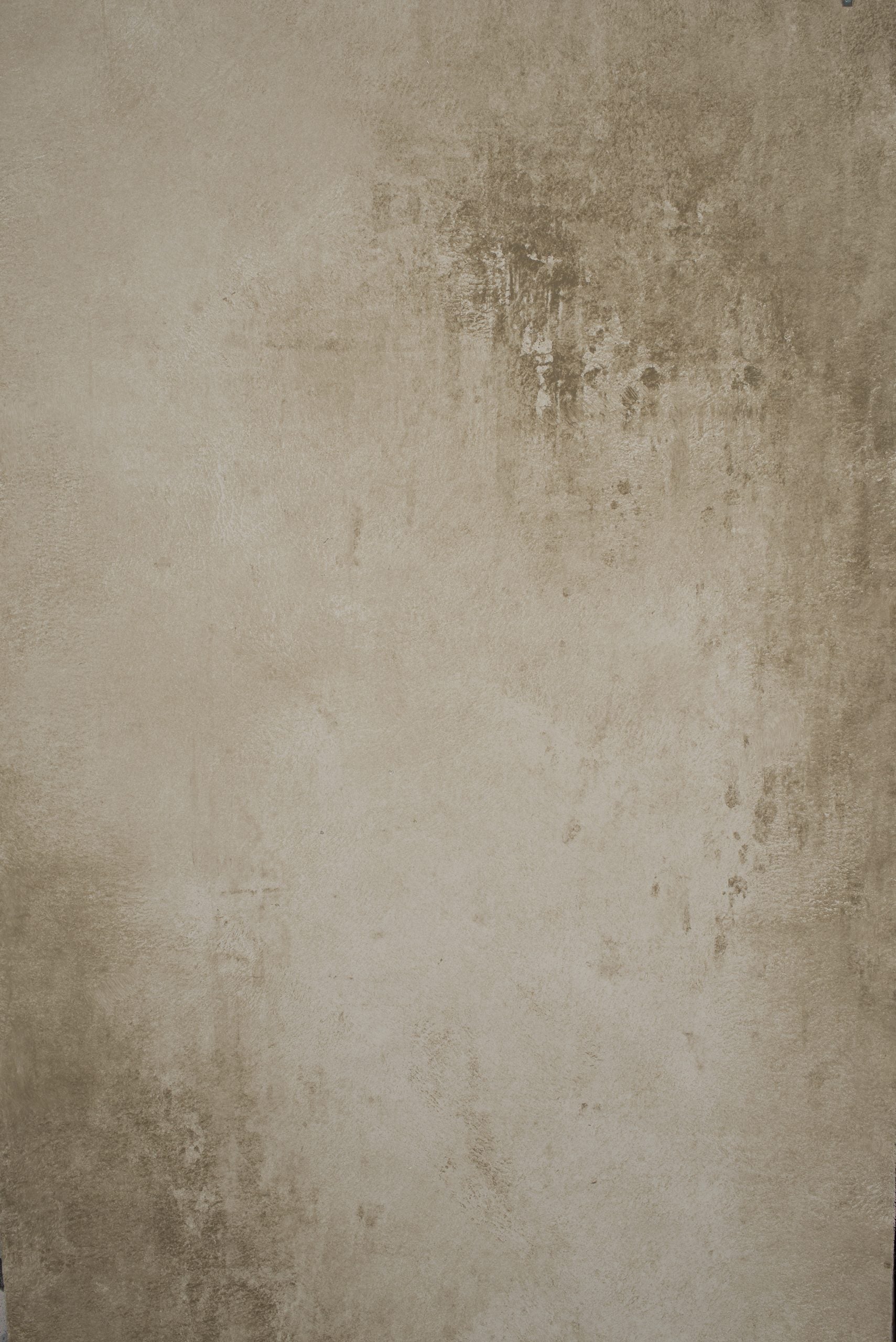 12407 Beige Grey Strong Text XS