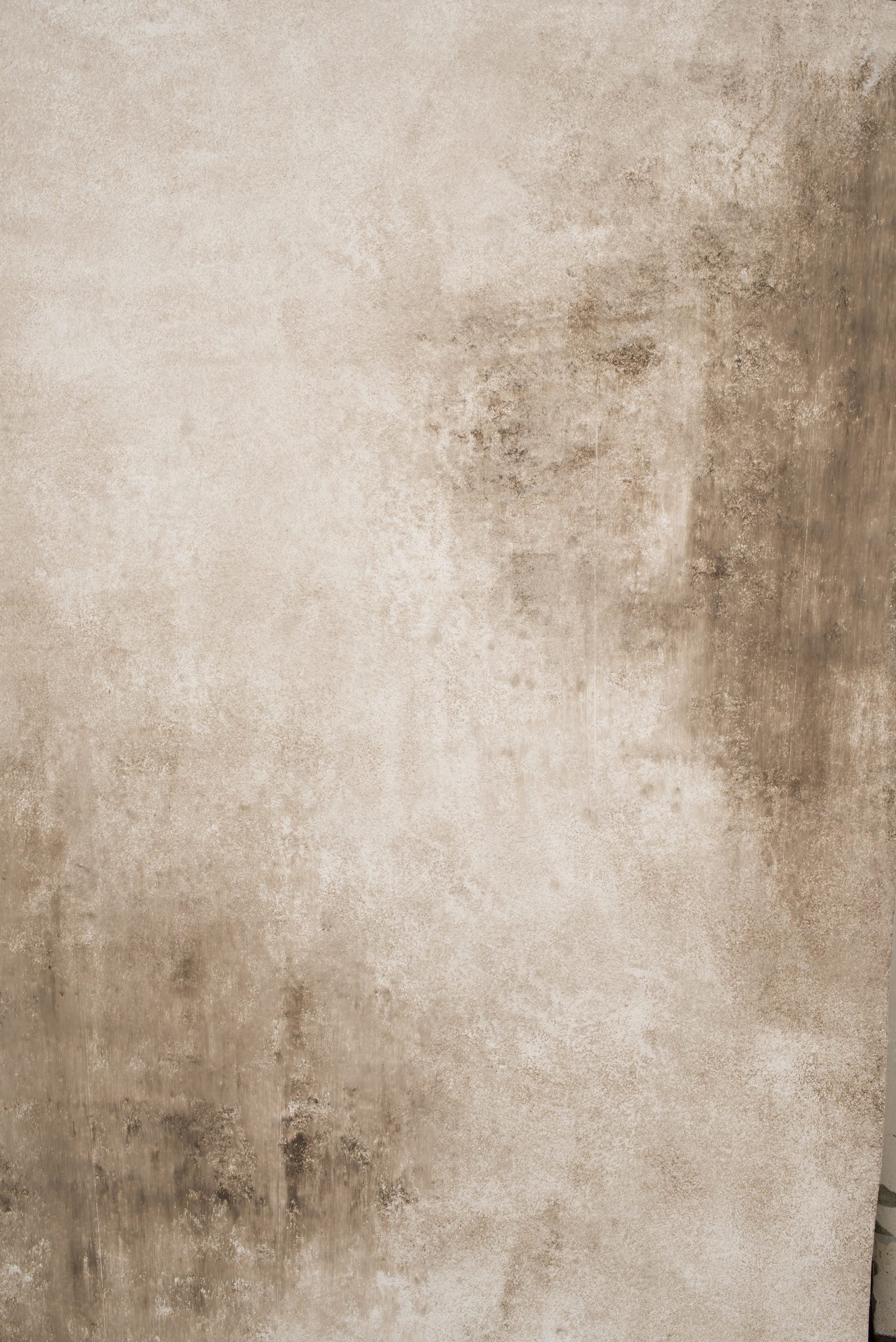 12409 Beige Strong Text XS