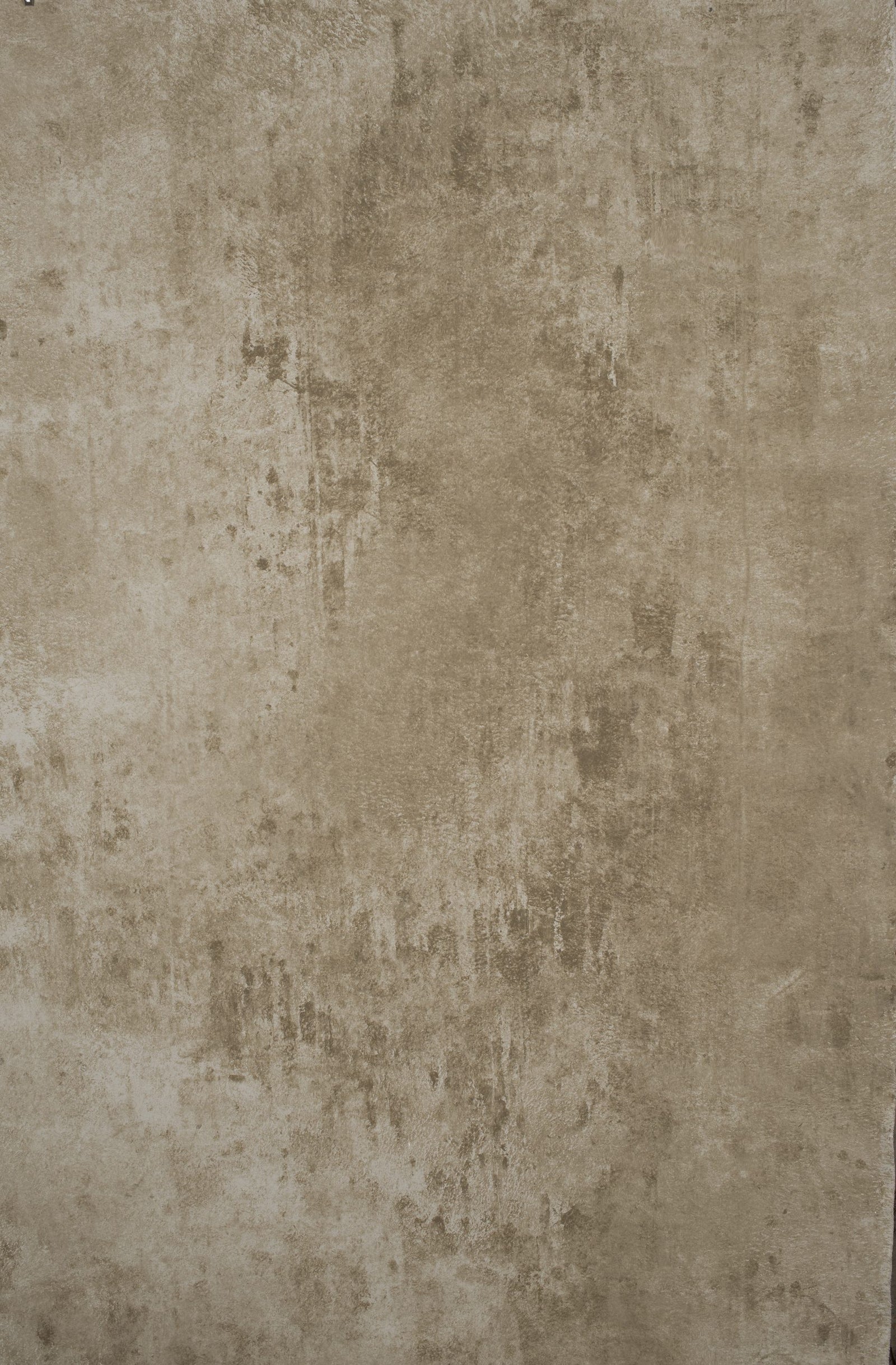 12411 Beige Grey Strong Text XS