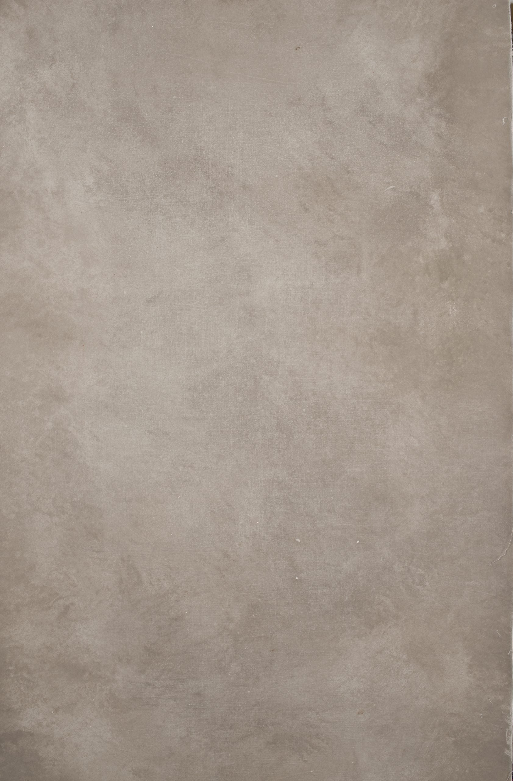12413 Beige Distressed Text XS