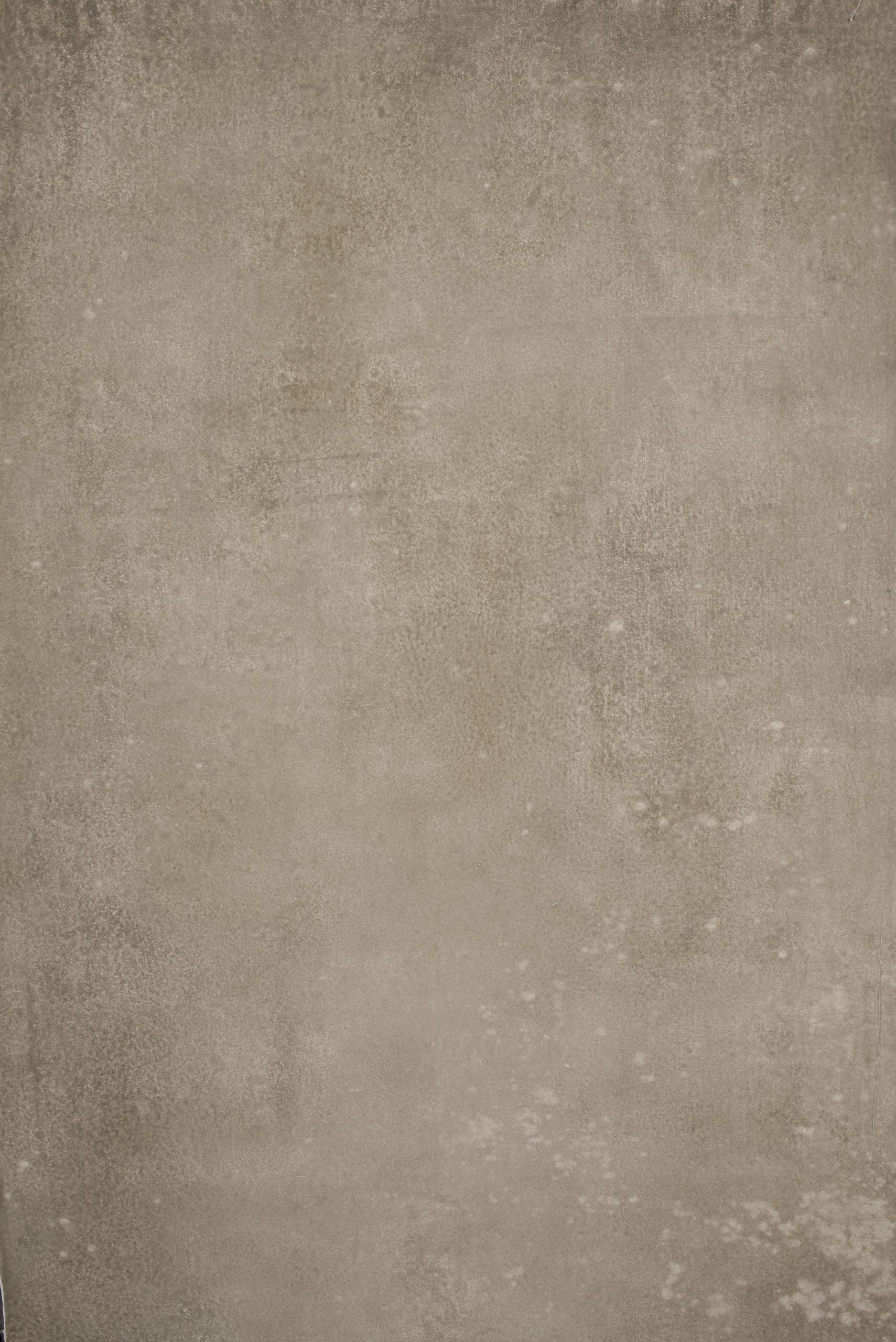 12419 Beige Distressed Text XS