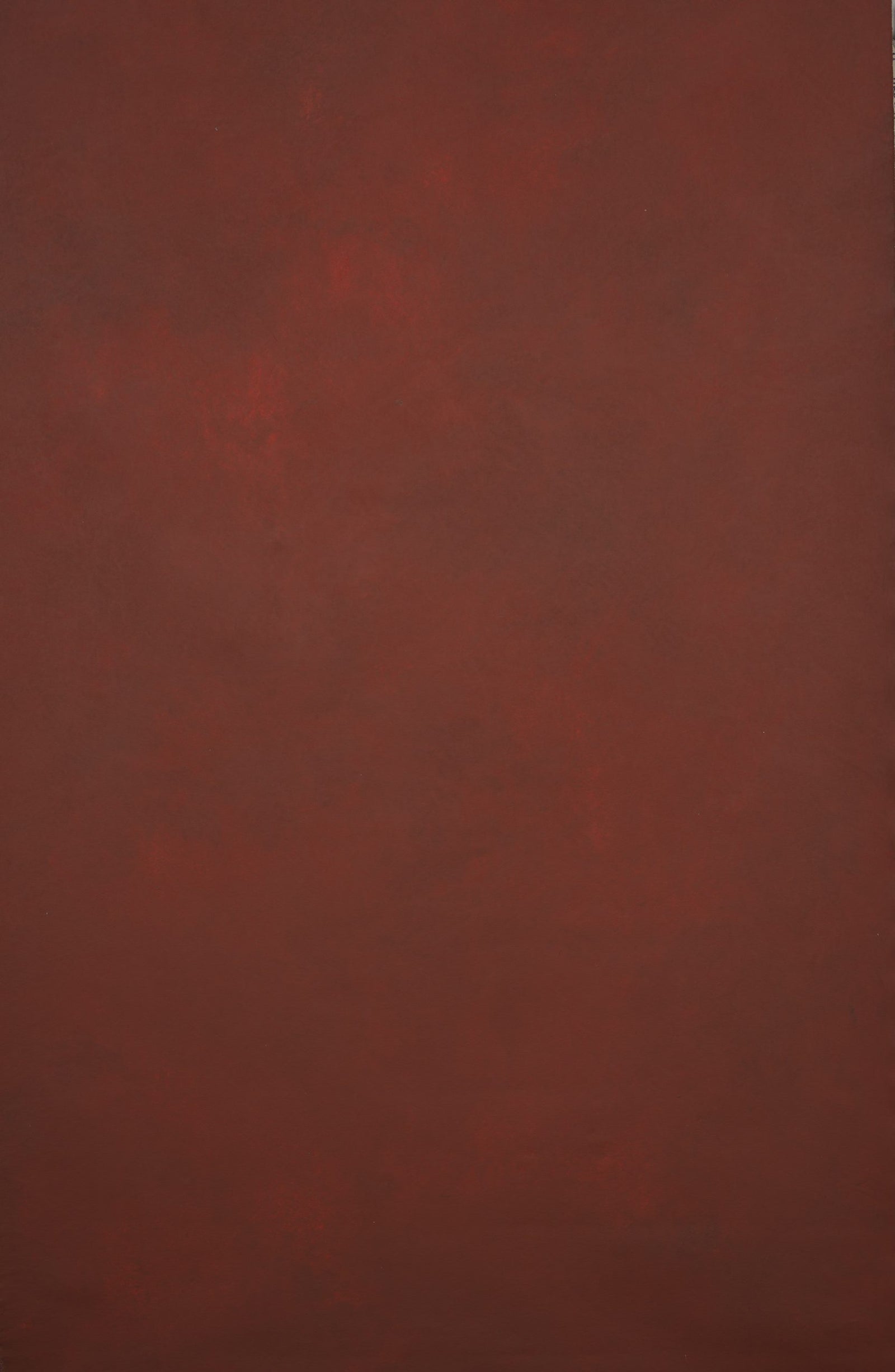 12424 Red Low Text XS
