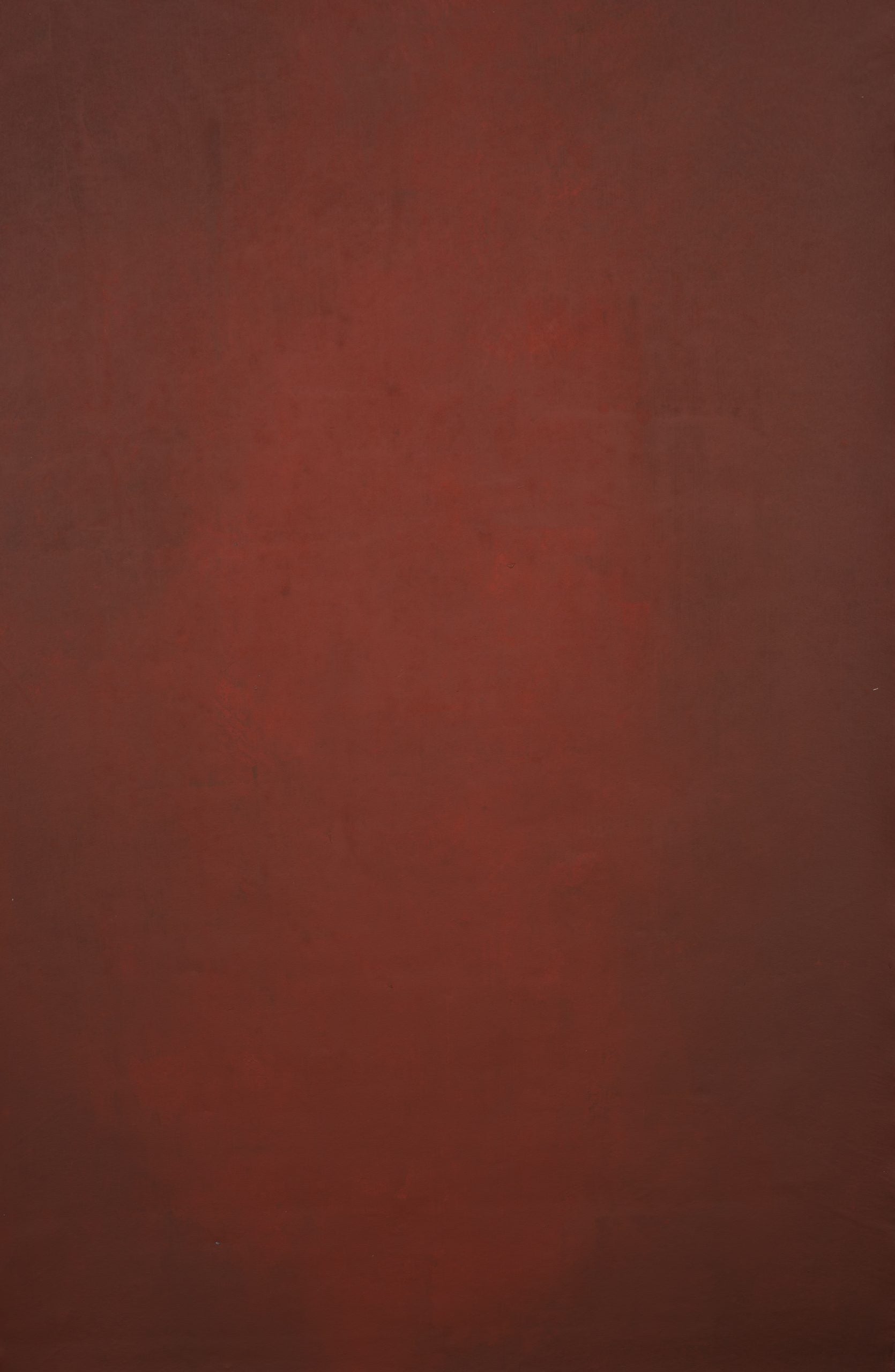 12425 Red Low Text XS