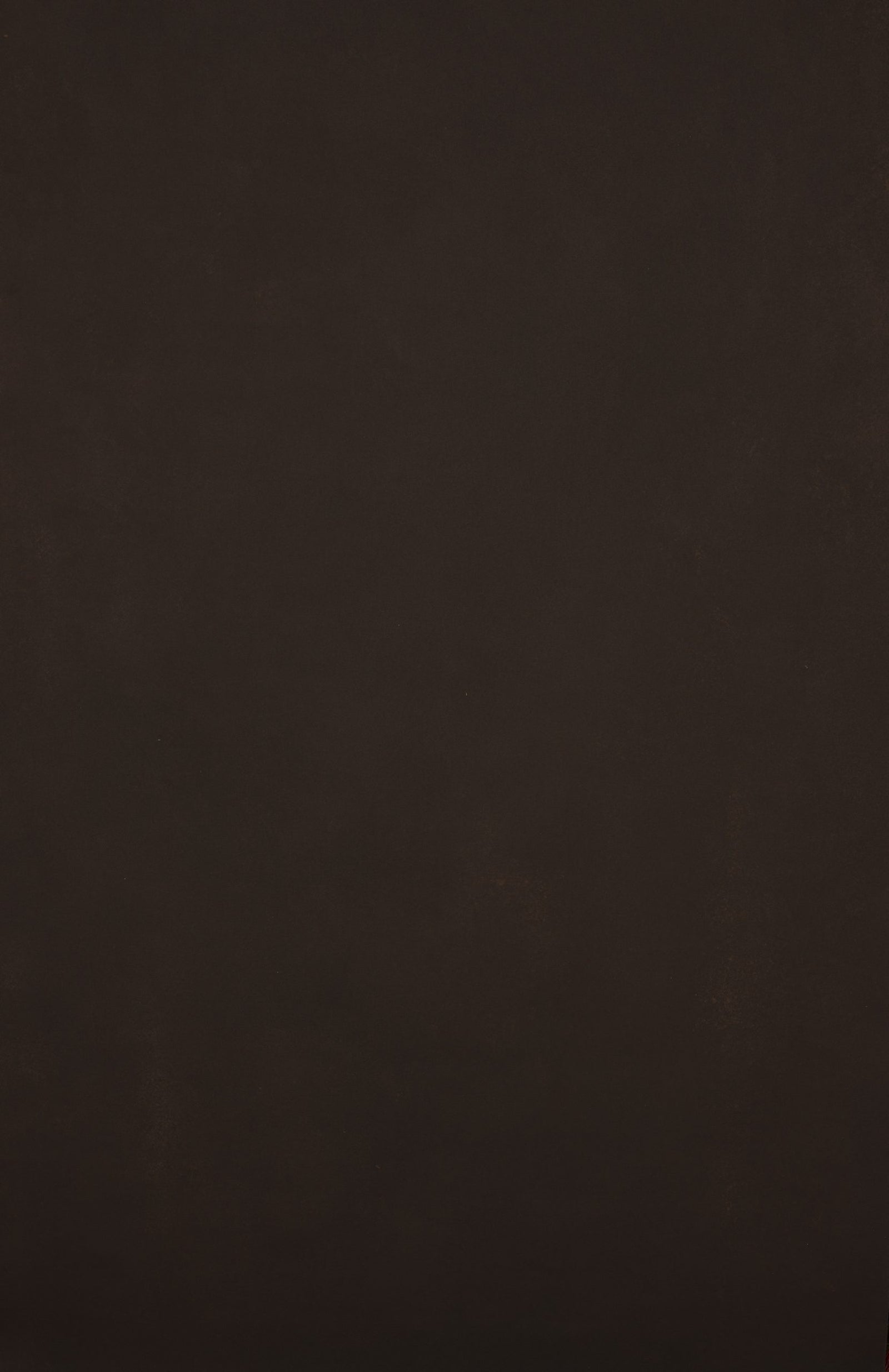 12429 Red Brown Low Text XS