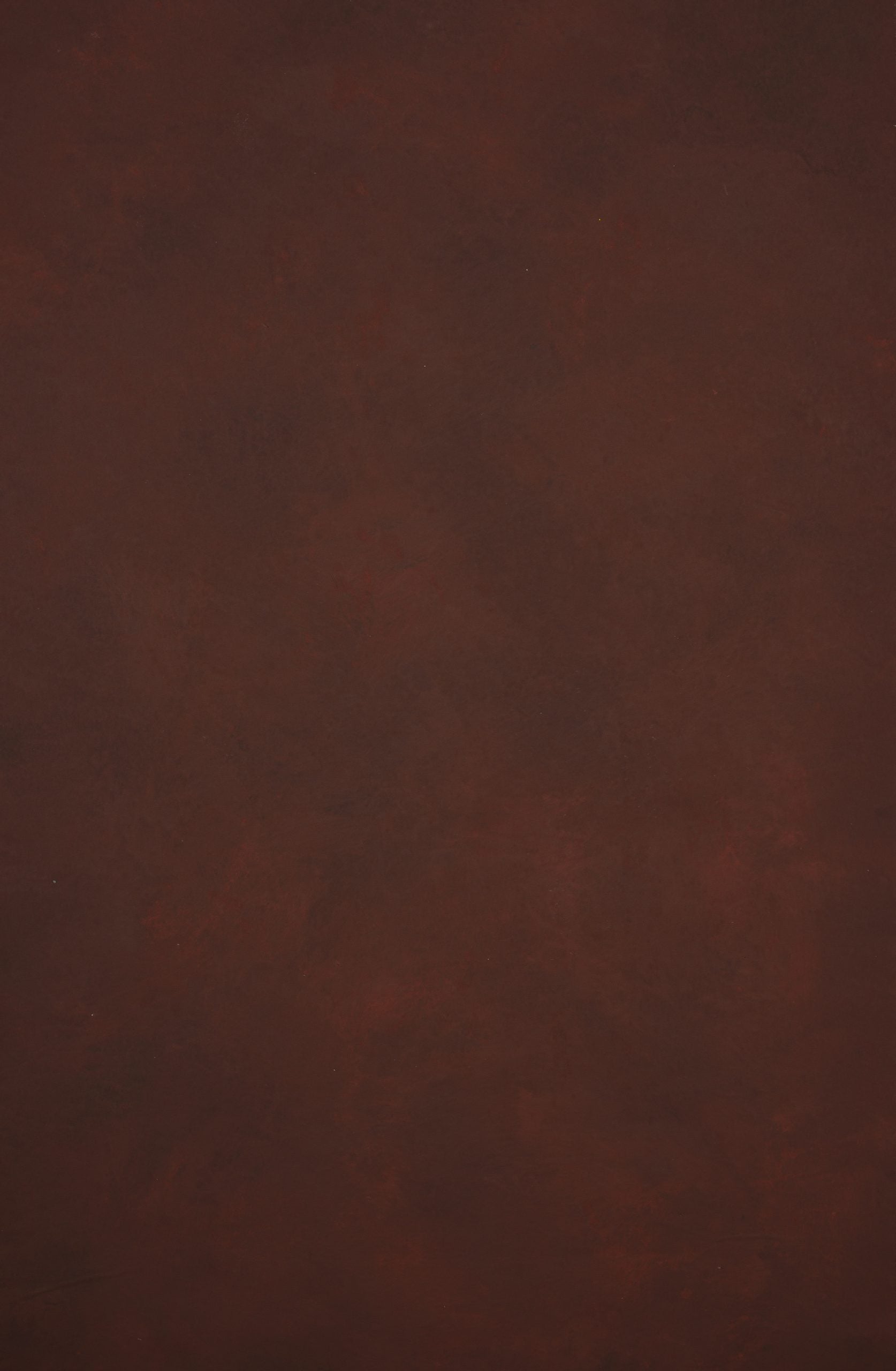 12432 Red Low Text XS