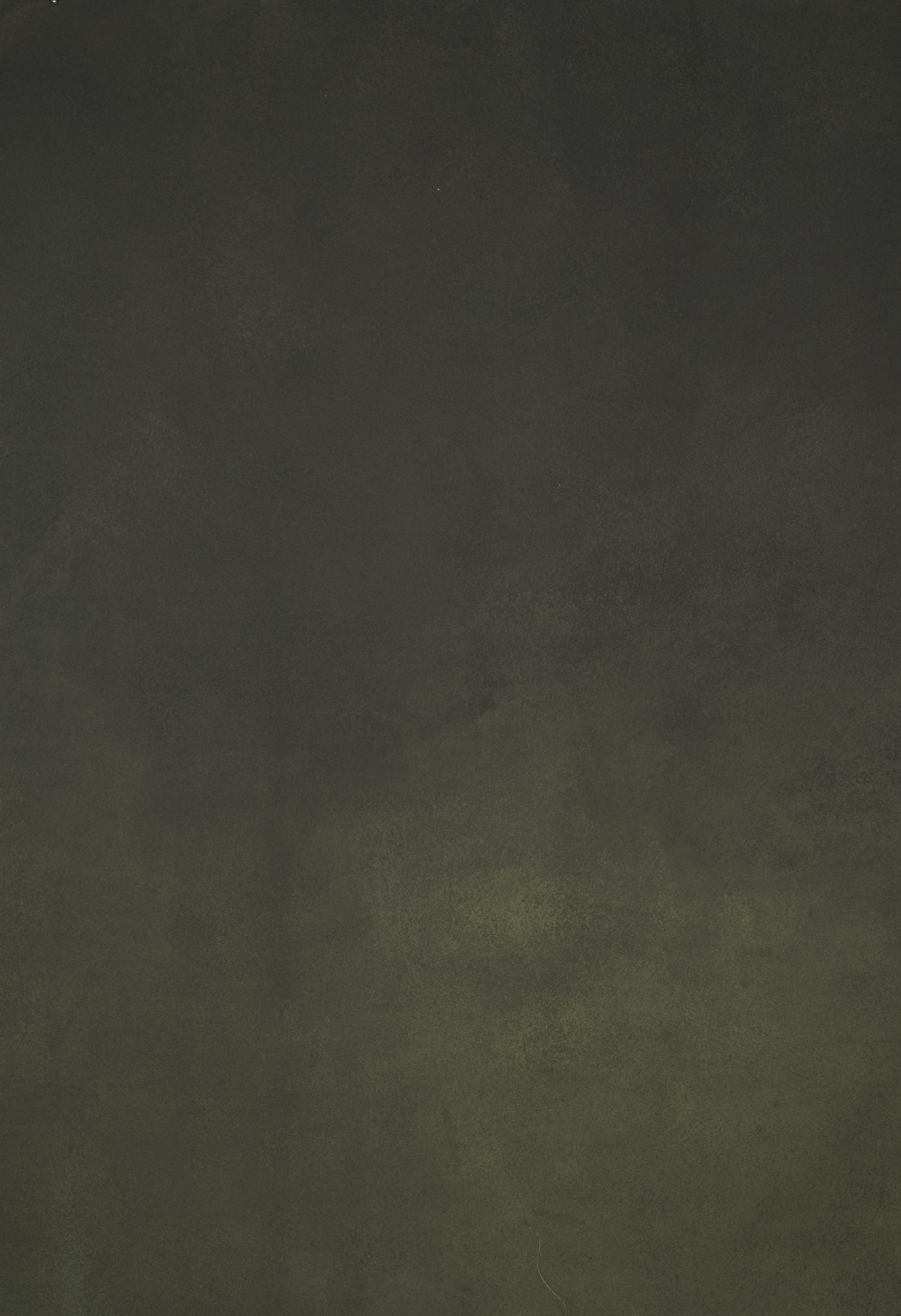 1244 Green Mid Text L+