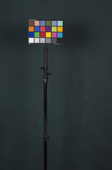 12453 Dark Tirquize Low Text XS