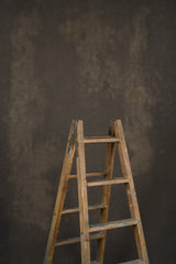 12494 Warm Grey Distressed Text ST
