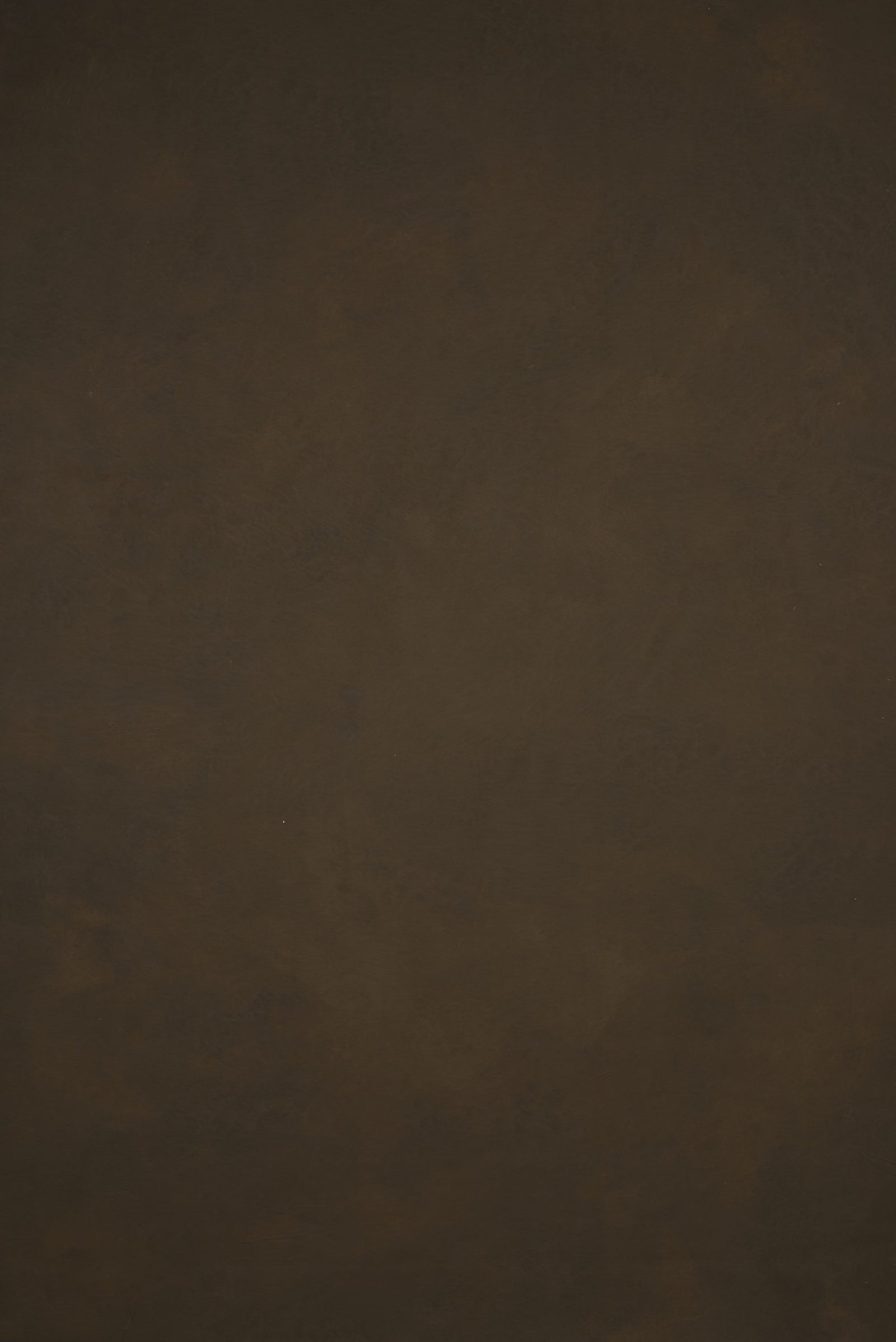 12503 Brown Low Text ST