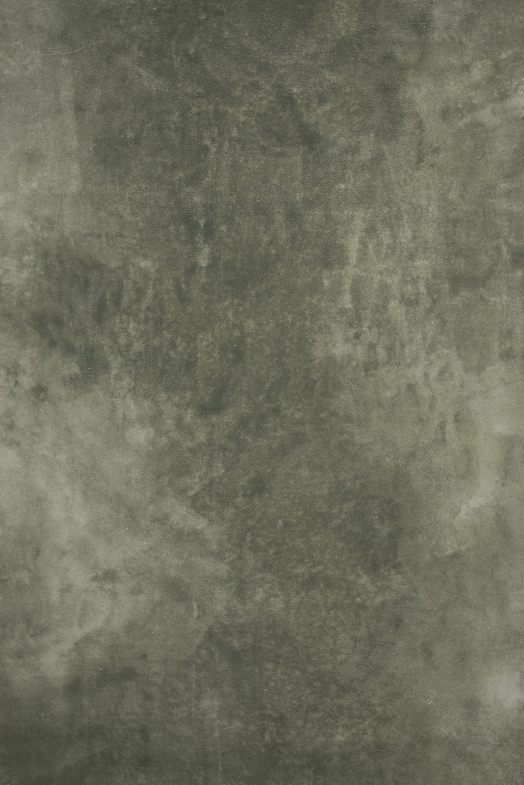 12507 Light Green Distressed Text ST