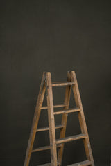 12519 Dark Olive Green Distressed Text ST
