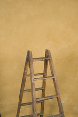 12525 Ochre Mid Text ST
