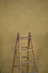 12527 Ochre Distressed Text ST