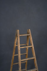 12544 Dark Blue Distressed Text ST