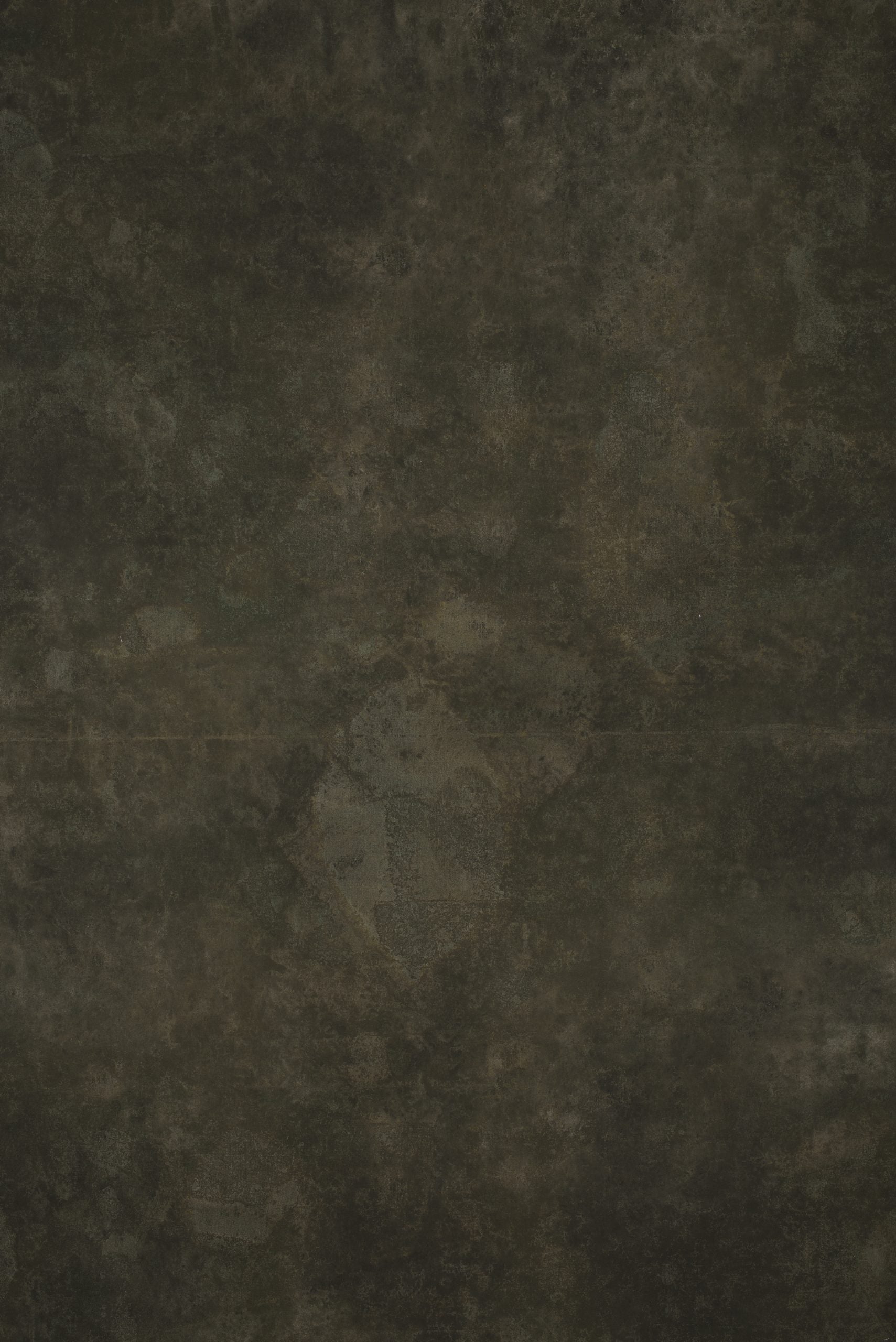 1255 Olive Green Strong Text L+