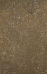 12562 Grey Brown Strong Text XS