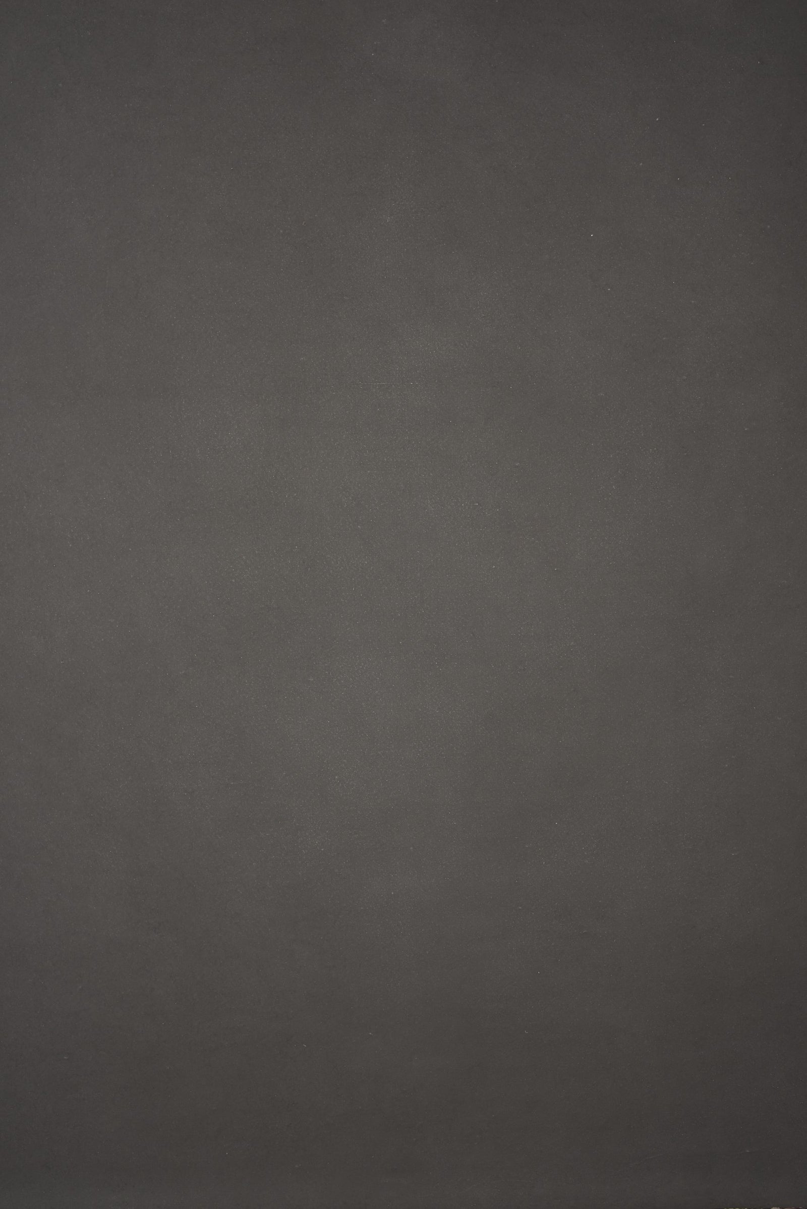 12583 Grey Distressed Text L