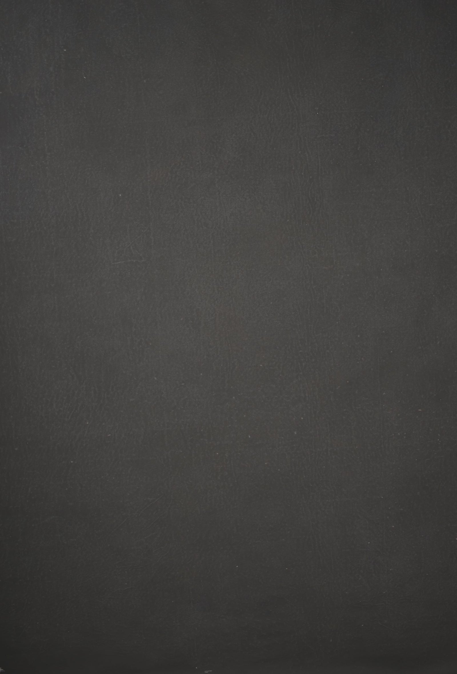 12588 Grey Distressed Text L