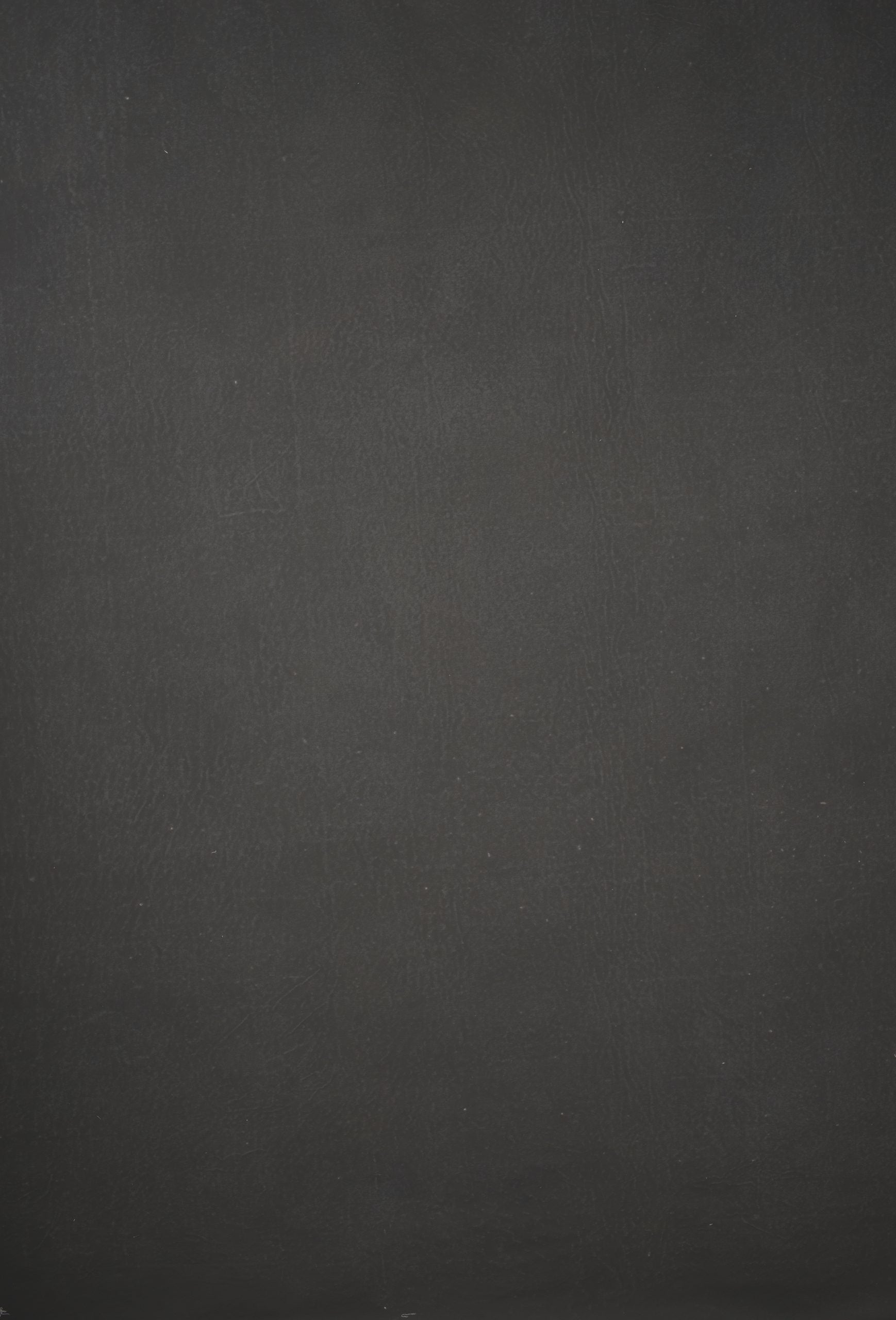 12588 Grey Distressed Text L