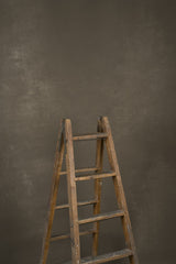 12590 Warm Grey Mid Text L