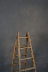12595 Cold Grey Mid Text L