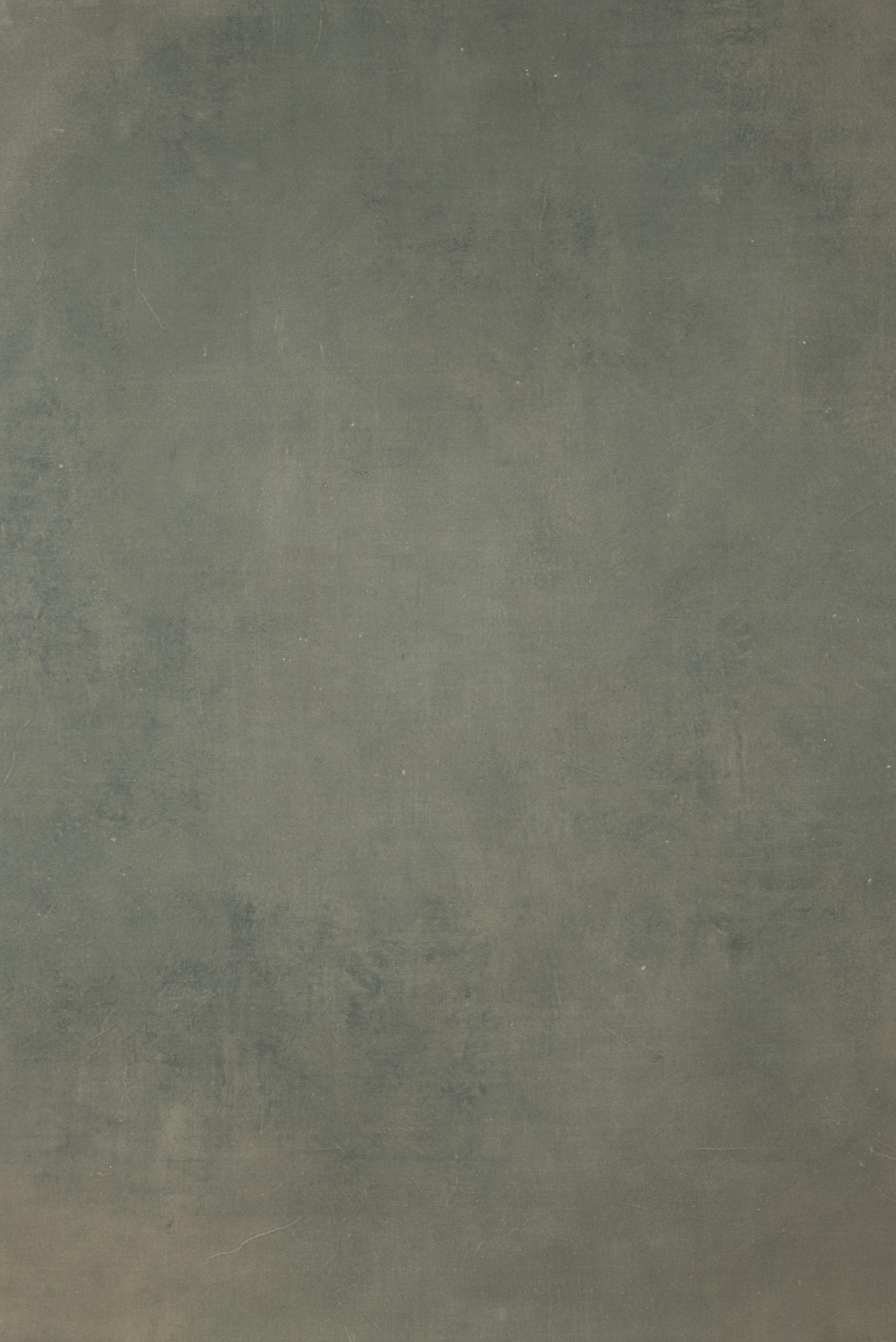 12603 Greenish Beige Distressed Text L
