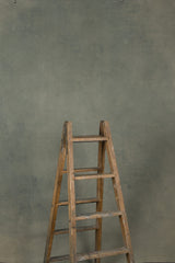 12603 Greenish Beige Distressed Text L