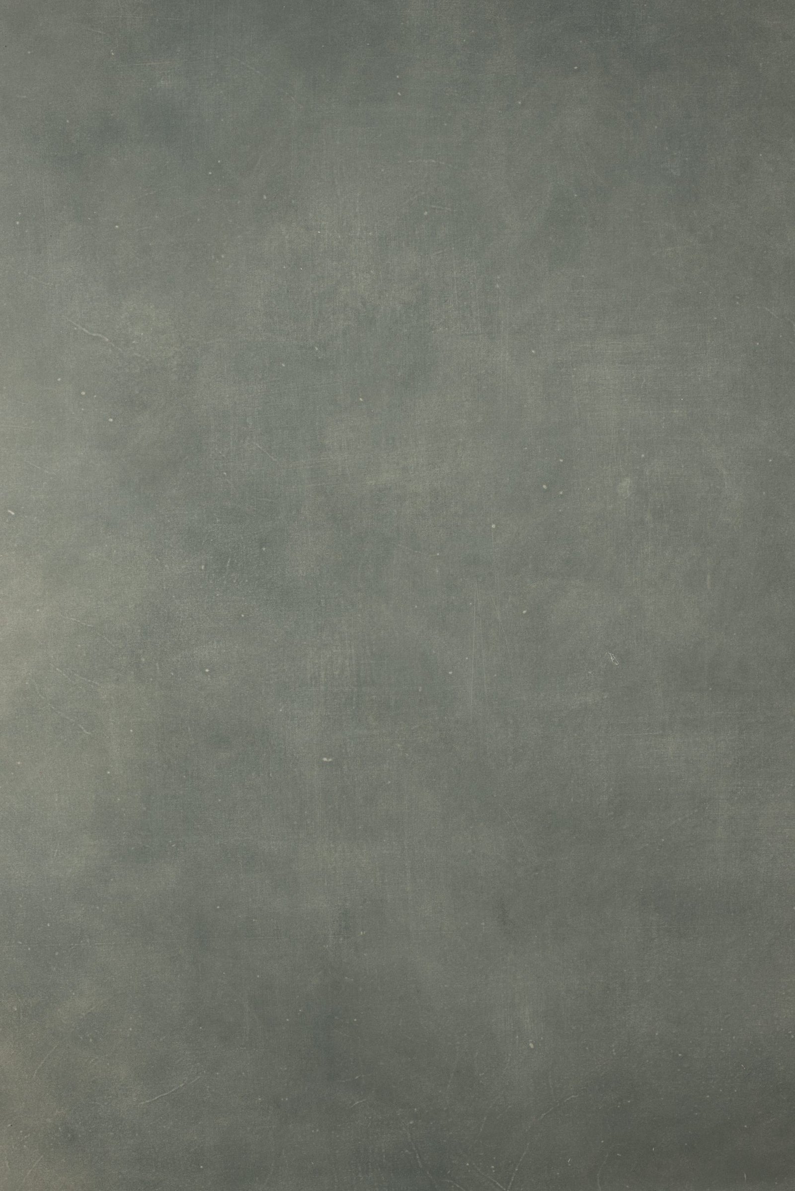 12604 Greenish Beige Distressed Text L