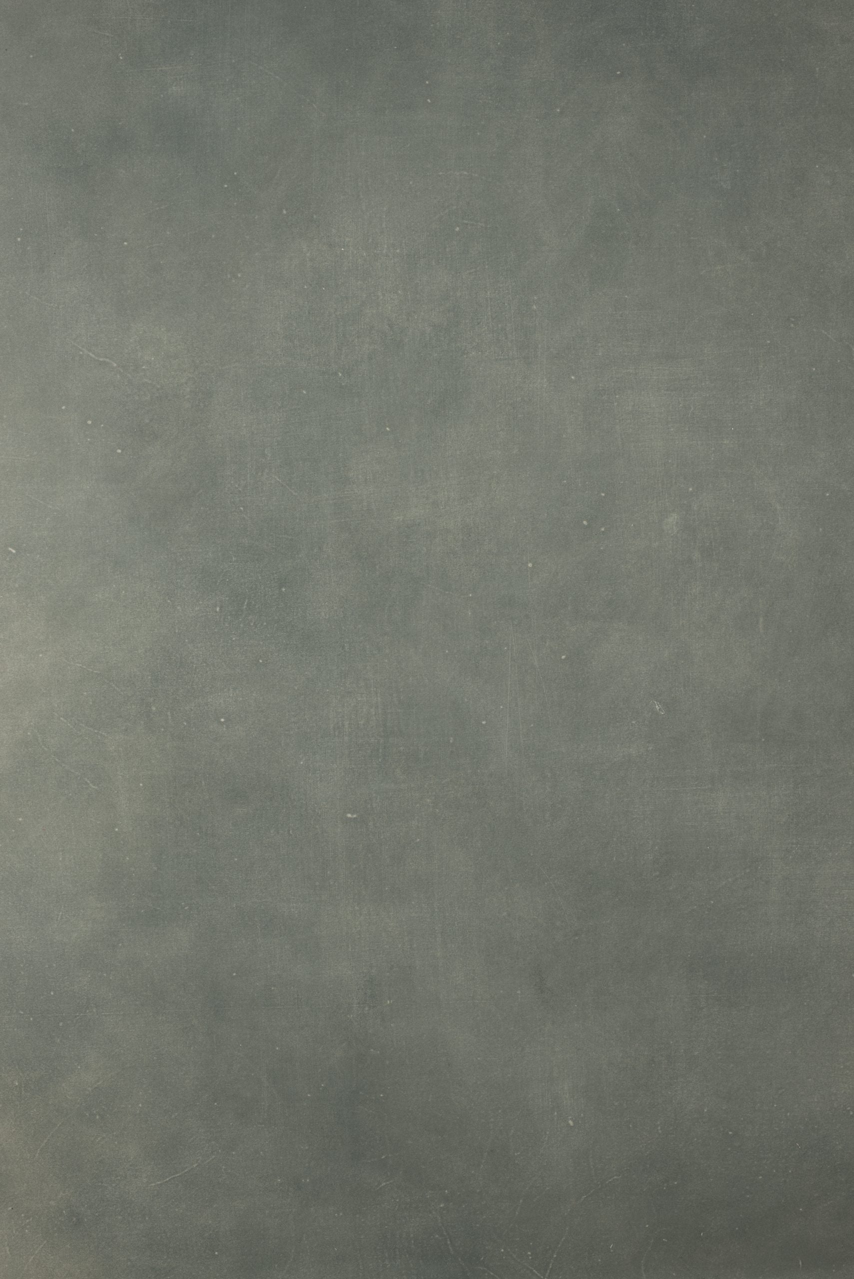 12604 Greenish Beige Distressed Text L