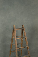 12604 Greenish Beige Distressed Text L