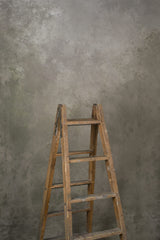 12641 Grey Beige Mid Text ST