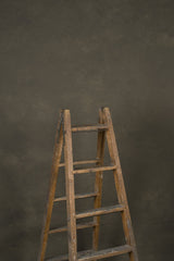 12645 Warm Grey Mid Text ST