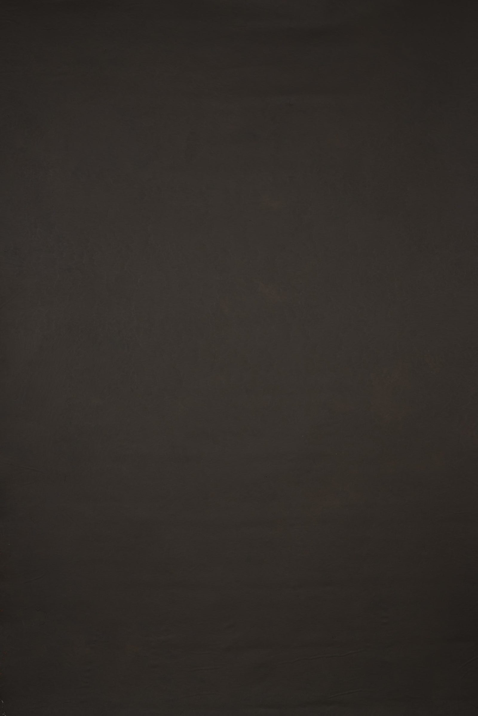 12649 Dark Warm Grey Low Text ST