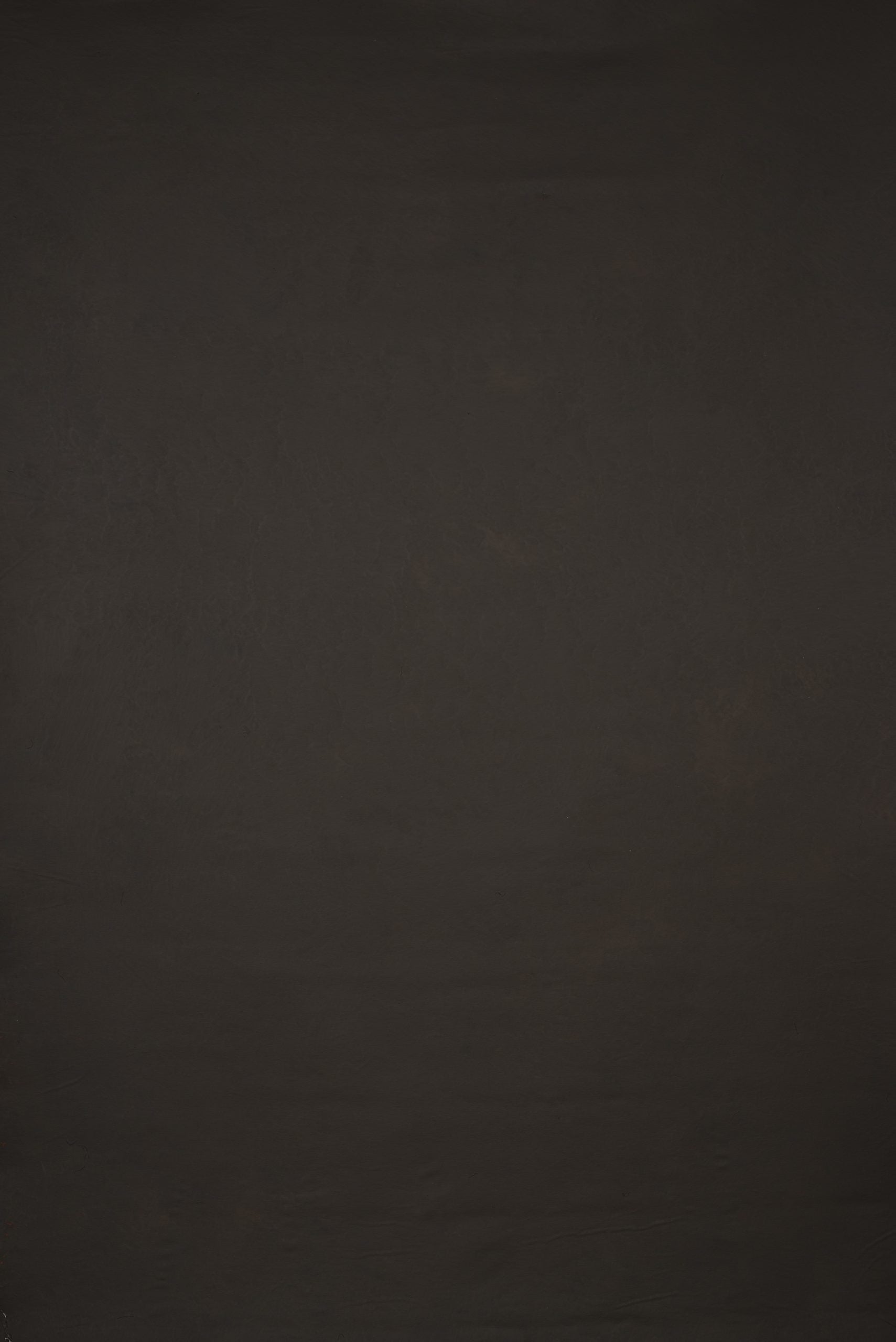 12649 Dark Warm Grey Low Text ST