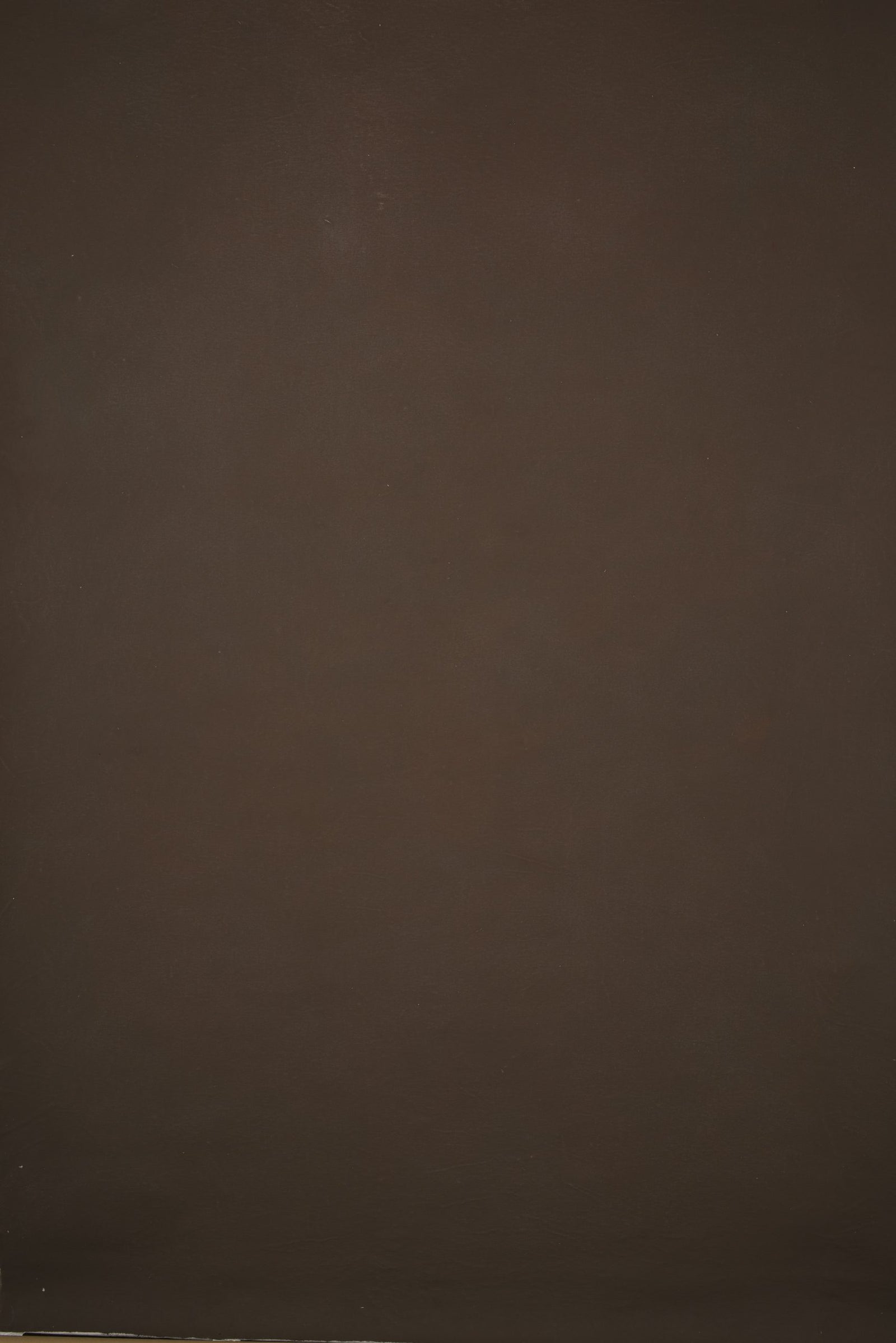 12653 Brown Distressed Text ST