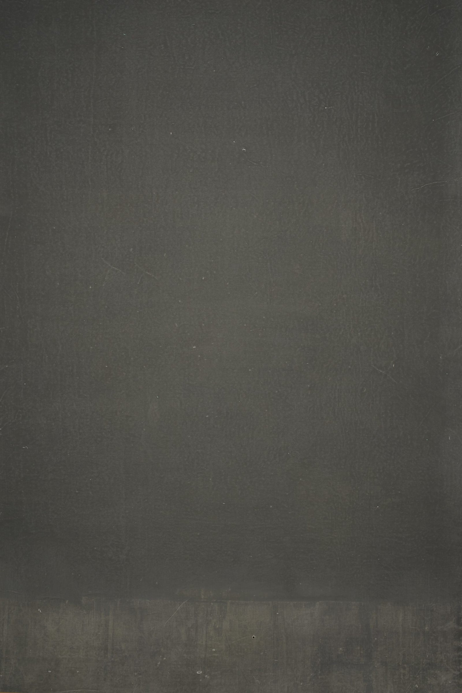 12658 Greenish Grey Distressed Text ST