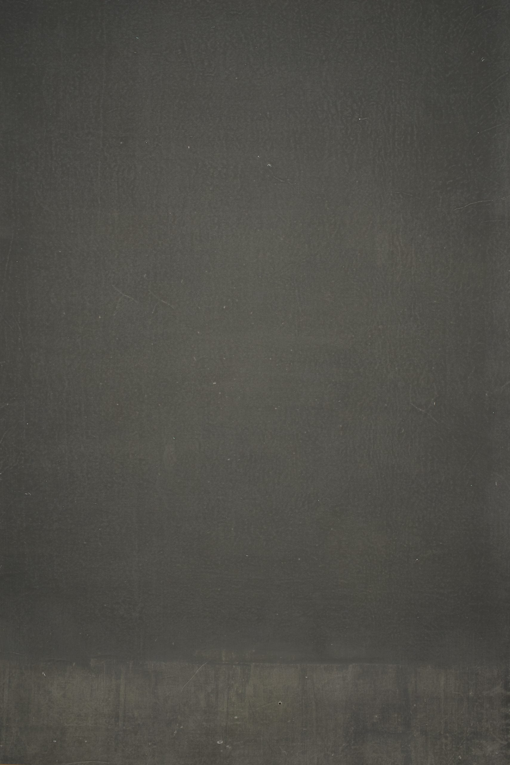 12658 Greenish Grey Distressed Text ST