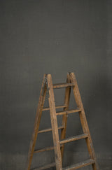 12658 Greenish Grey Distressed Text ST