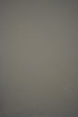 12659 Greenish Grey Low Text ST
