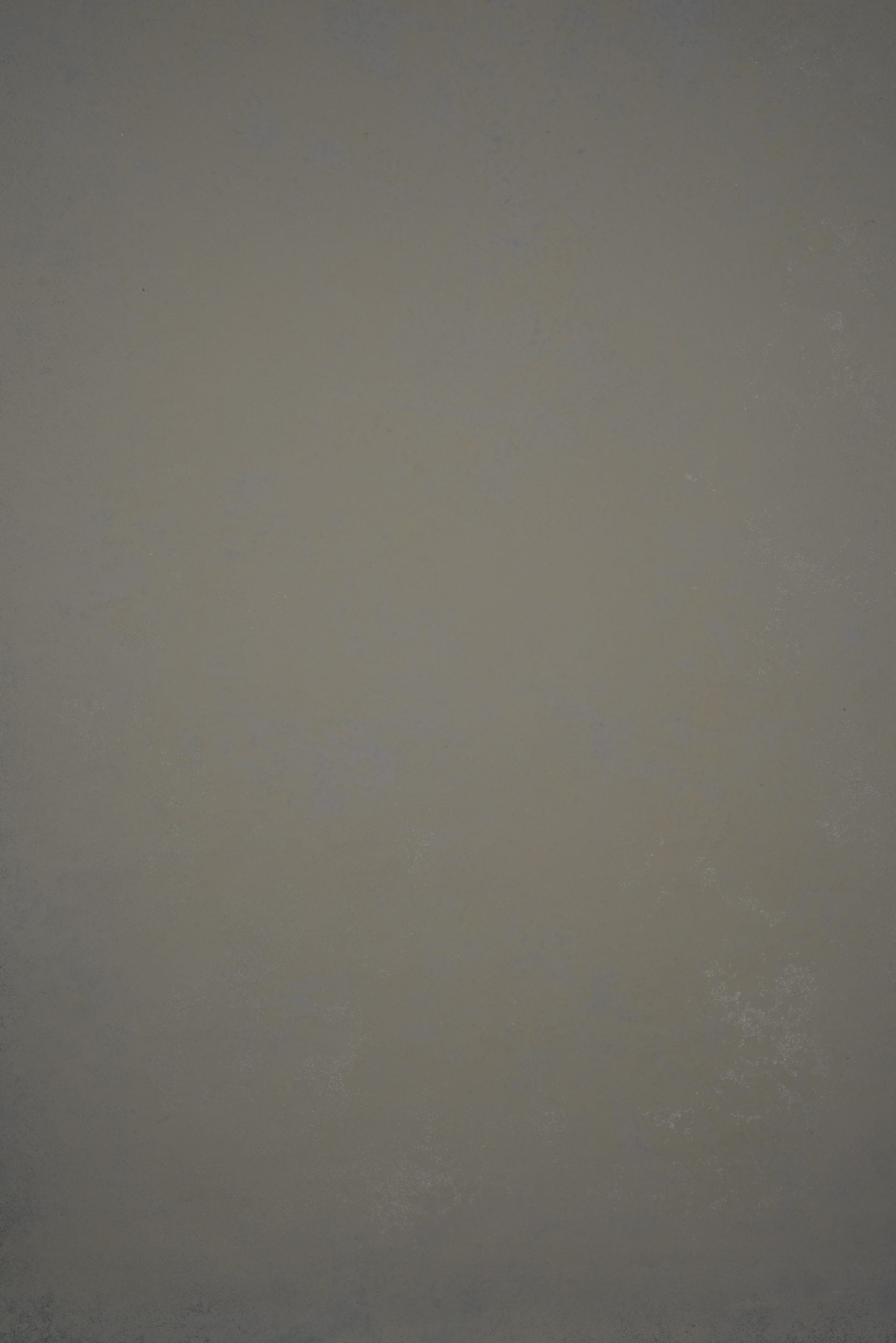 12659 Greenish Grey Low Text ST