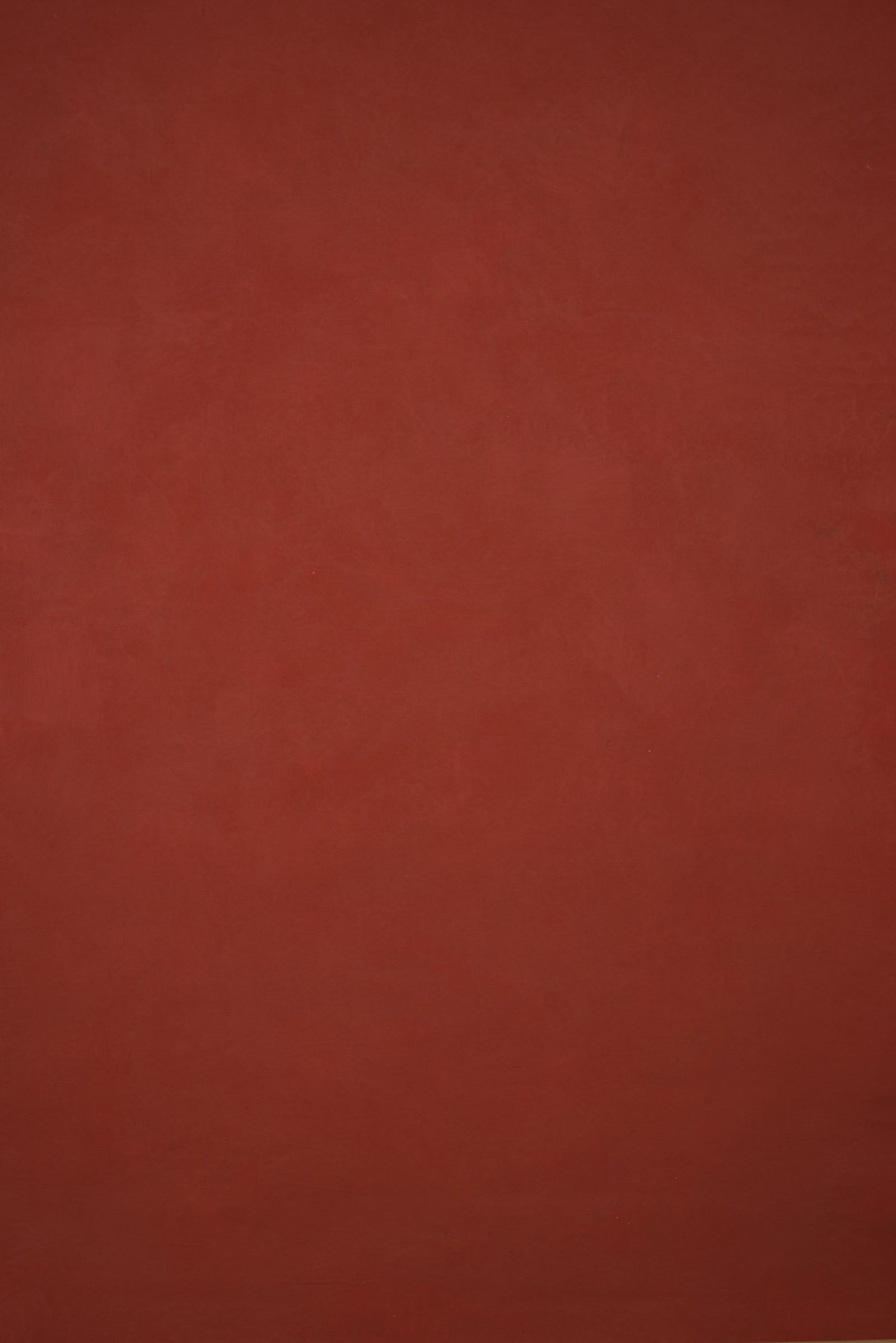 12661 Red Low Text ST