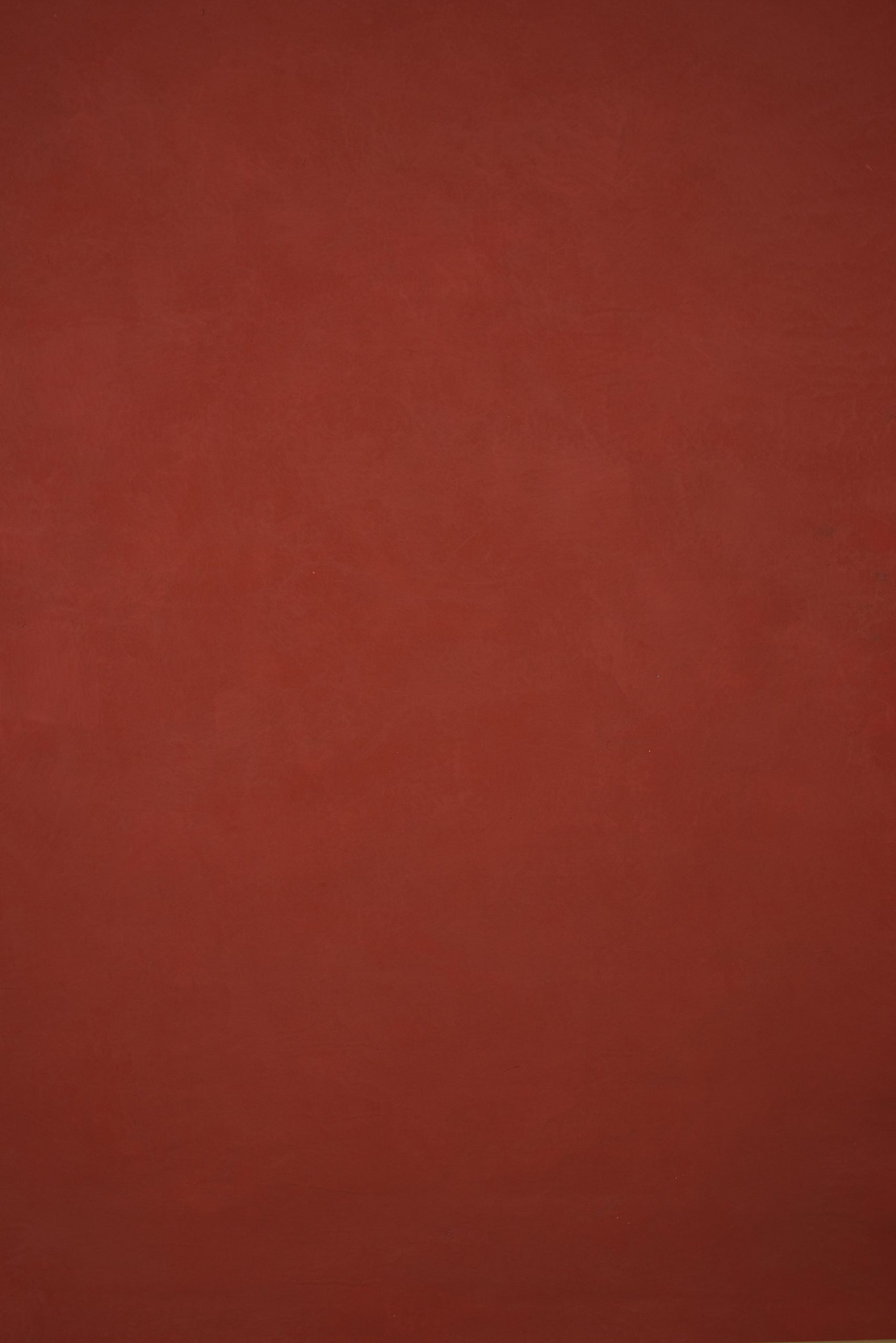 12661 Red Low Text ST